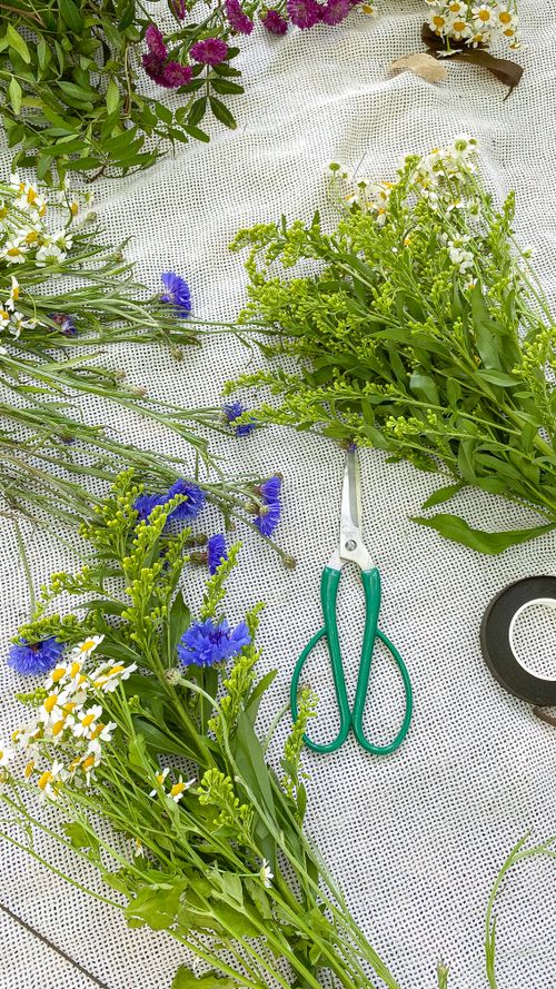 Free Colorful chamomile and cornflowers arranged with scissors on a mesh surface, perfect for floral decor. Stock Photo