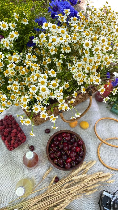 Free A vibrant arrangement of daisies, raspberries, cherries, and wheat in a rustic setup. Stock Photo