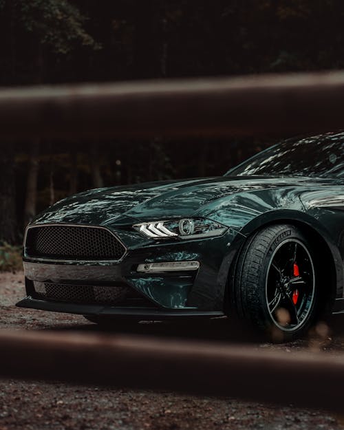 Close-Up Photo of Mustang