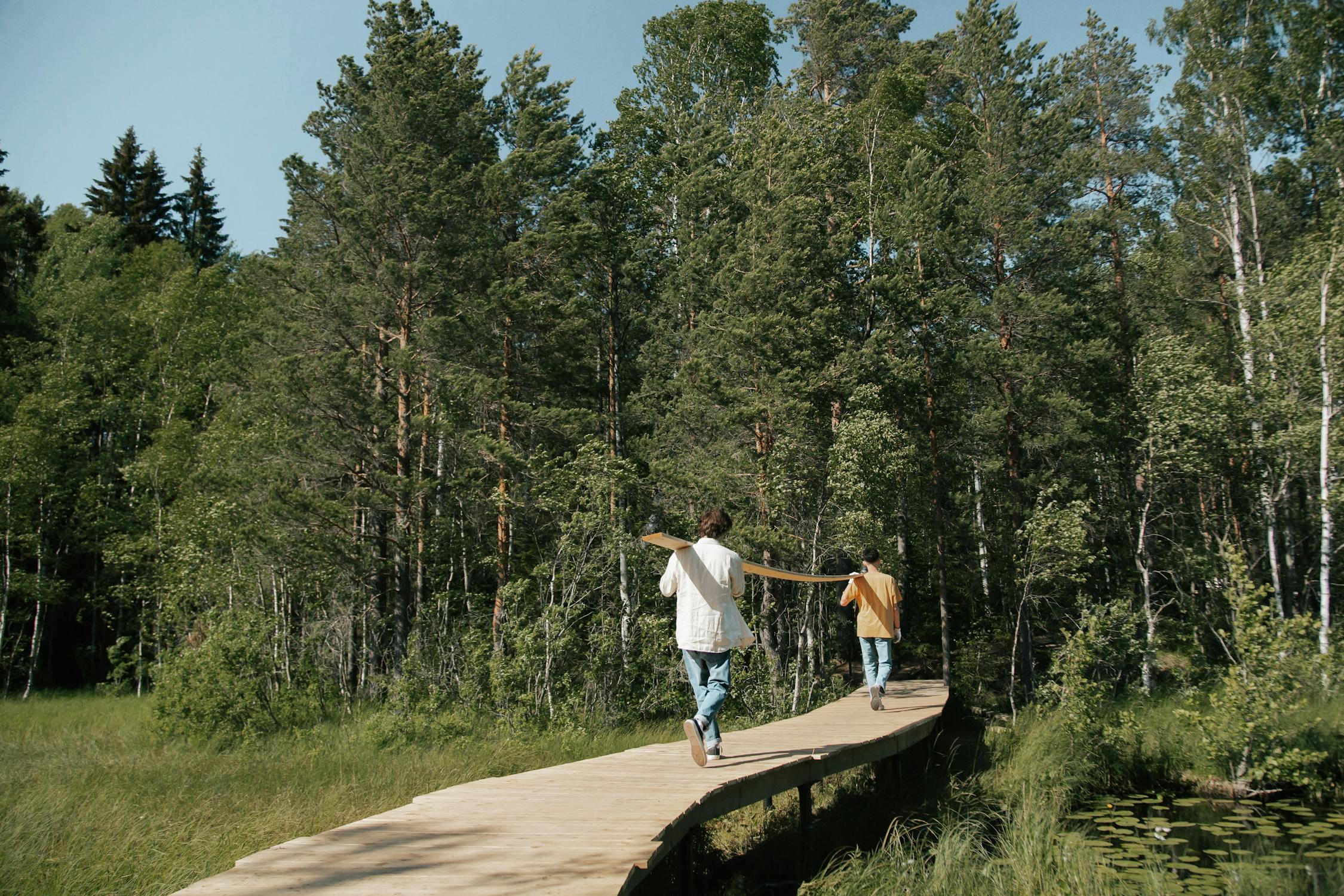 Two people carrying wooden planks while walking on a boardwalk through a forested area.