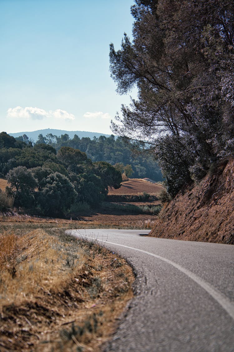 Winding Road In The Countryside