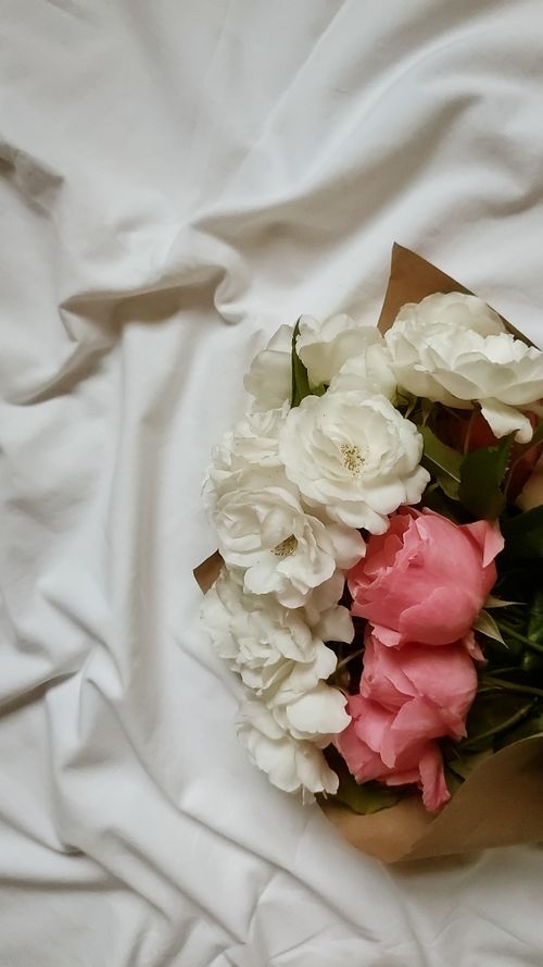 Free A beautiful bouquet of white and pink roses elegantly arranged on a soft white fabric. Stock Photo