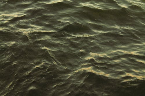 さざ波, ダーク, テクスチャの無料の写真素材
