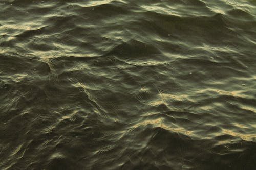 Ripple Patterns on Sea Waves