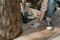 Free stock photo of adult, appoint, boardwalk