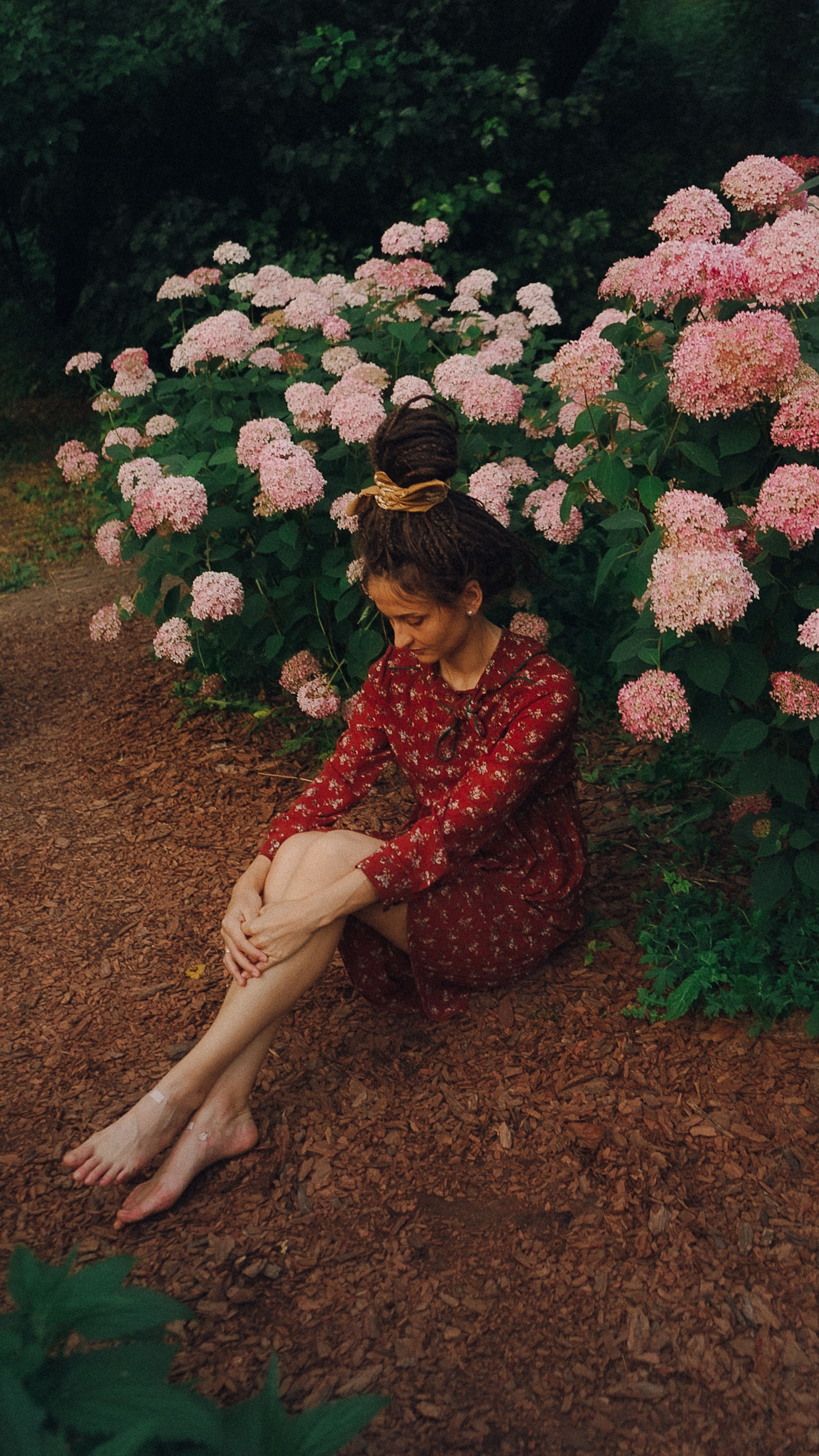 Woman in Red Dress Sitting Beside a Plant · Free Stock Photo