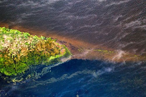 Free Stunning aerial view of a lush island surrounded by water in Maple Springs, MN. Stock Photo