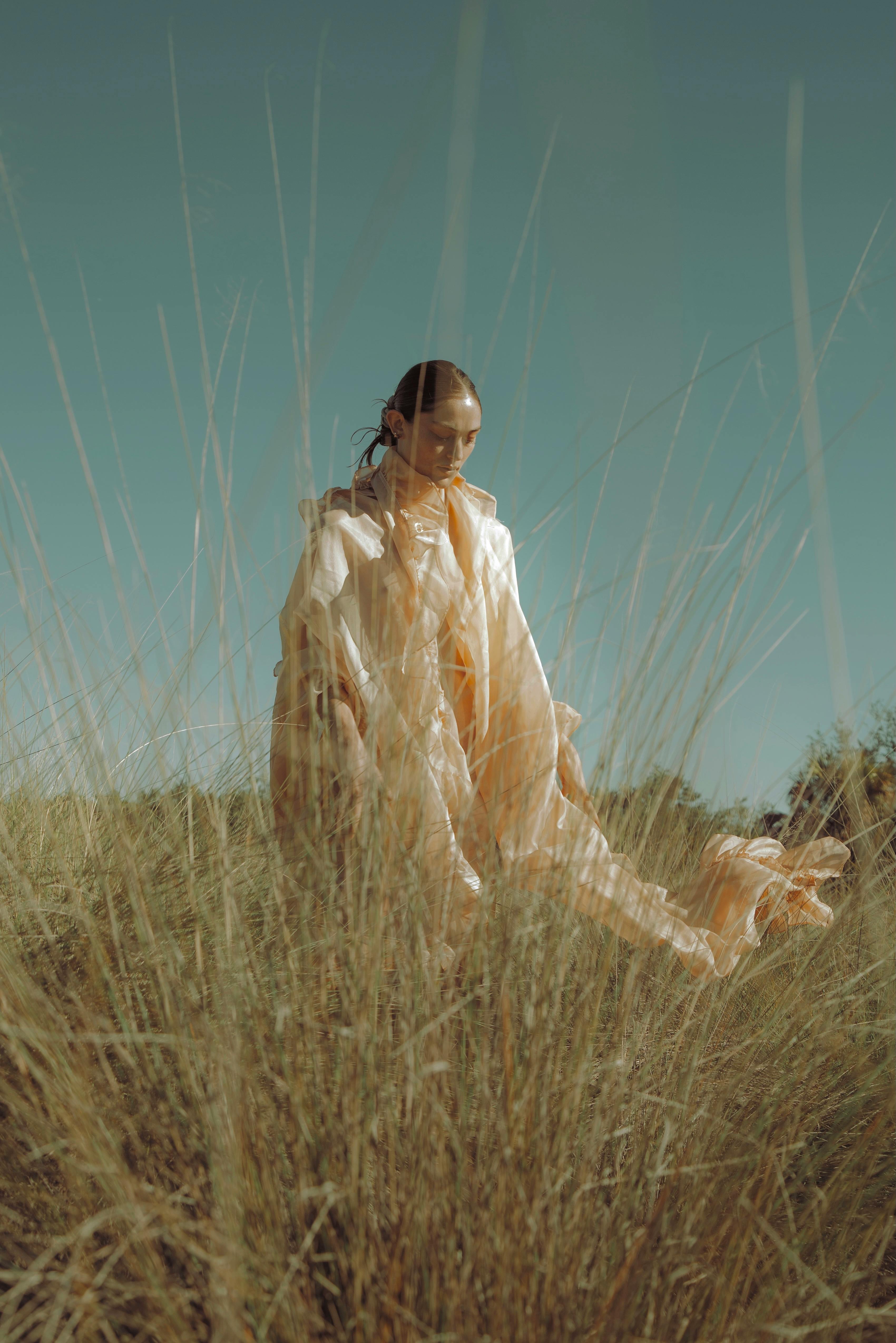 Gratis Foto stok gratis alam, anggun, artistik Foto Stok