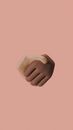 Animation of Shaking Hands