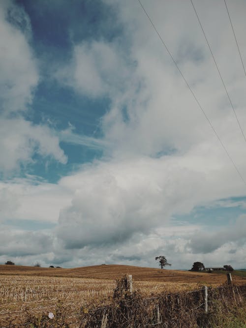 A Brown Field Under a Cloudy Sky