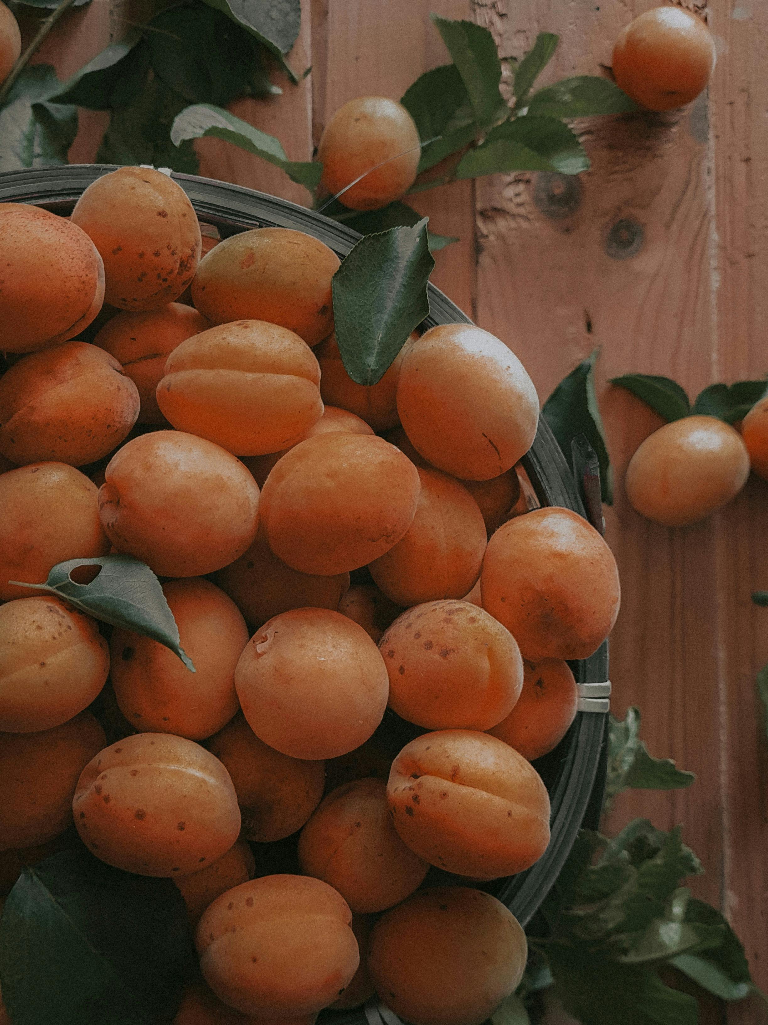 A rustic display of fresh apricots in a basket with leaves on a wooden table, exuding natural charm.