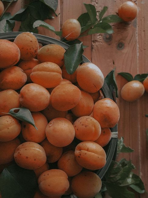 A rustic display of fresh apricots in a basket with leaves on a wooden table, exuding natural charm.