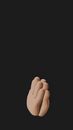 Hands Praying on a Black Background
