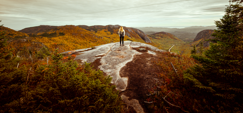 Free A woman stands on a mountain peak, gazing at the vast scenic valley filled with autumn colors. Stock Photo
