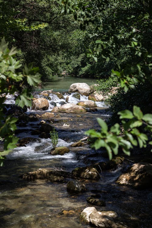 무료 강, 개울, 바위의 무료 스톡 사진