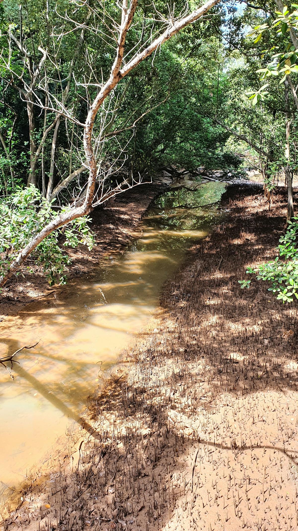 A group of people from diverse backgrounds in conversation, representing multilingual communities.