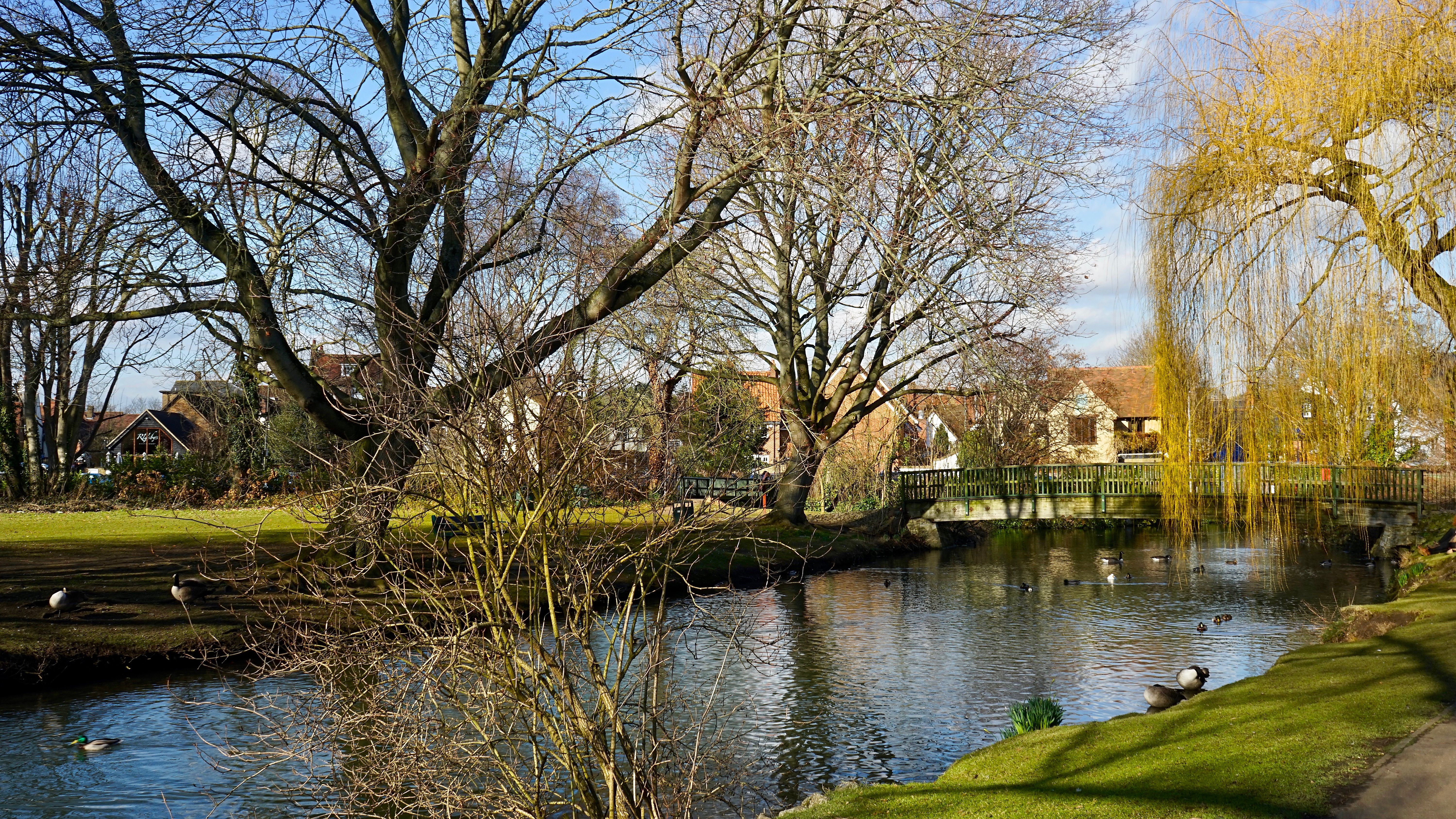 Free stock photo of blue, fair weather, Hertford