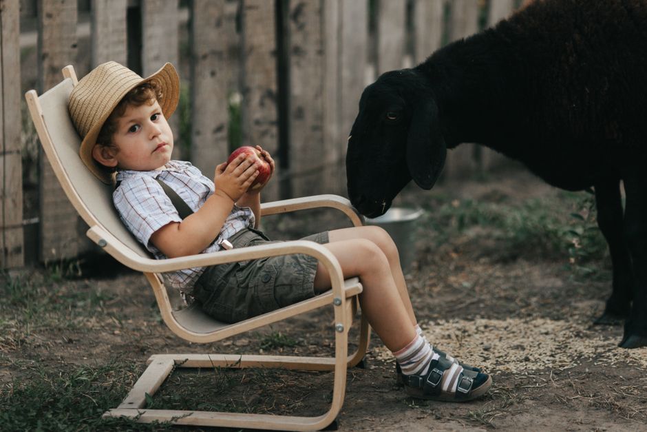New Farm Boy Location Opening in Ontario This Month