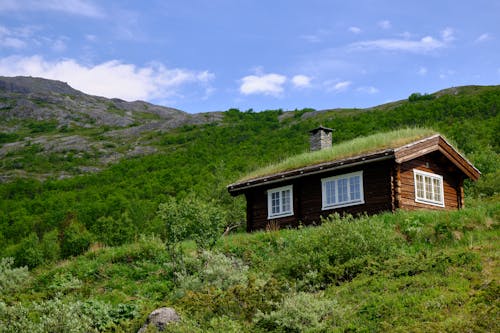 Kostnadsfri bild av berg, blå himmel, fredlig