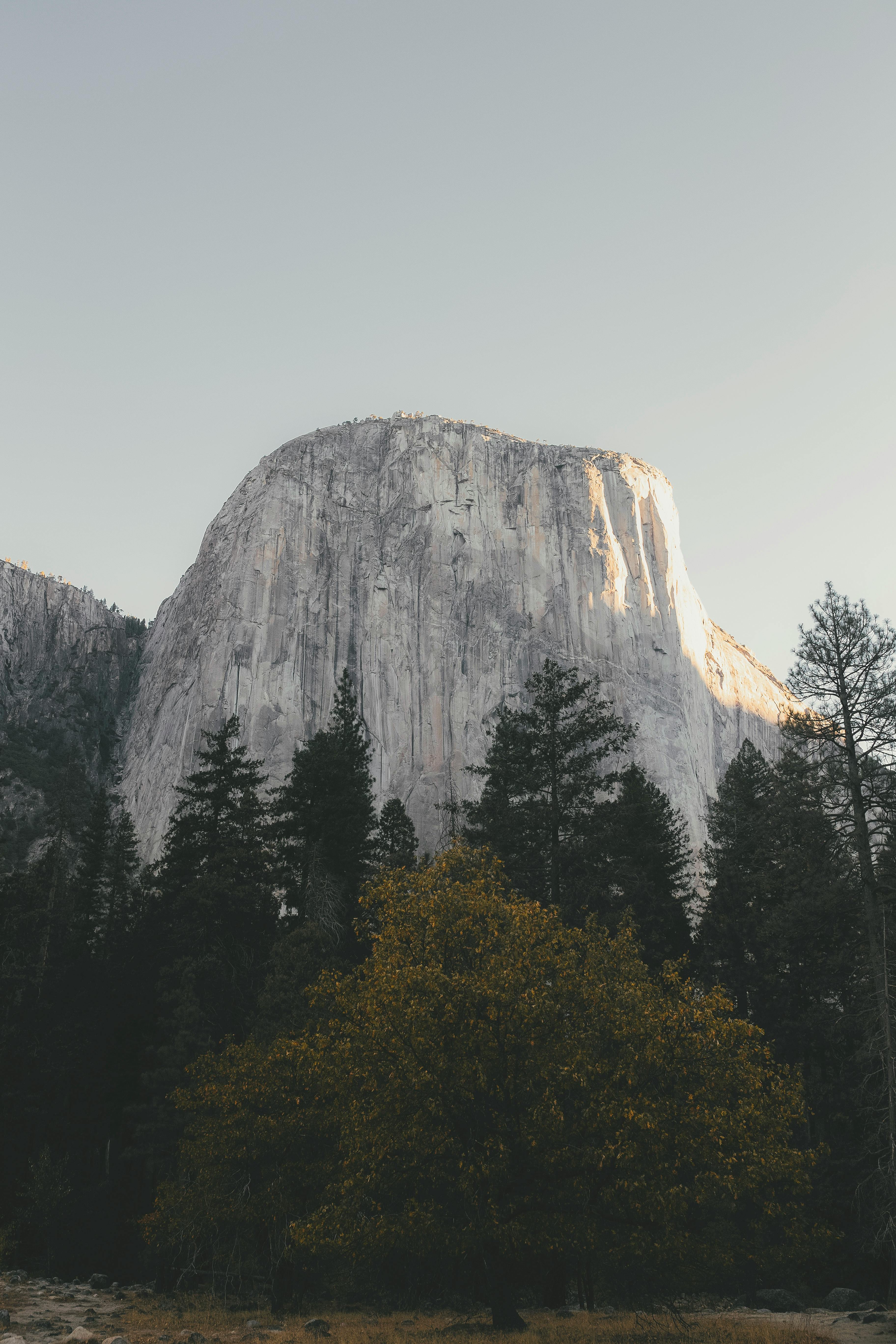 Stunning capture of El Capitan rock formation at Yosemite with surrounding trees.
