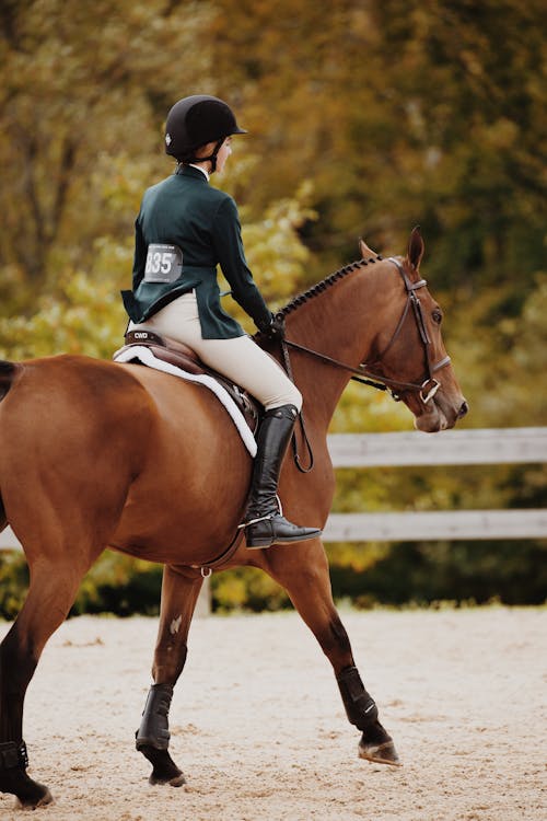 Фотография женщины верхом на коричневой лошади с глубиной резкости
