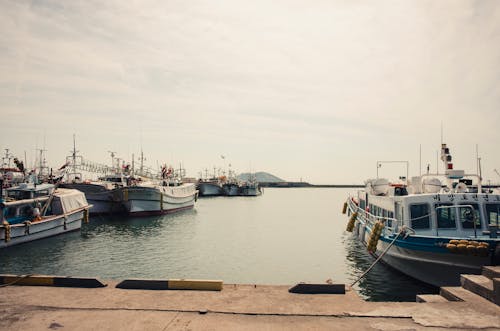 Boats Docked on the Harbor