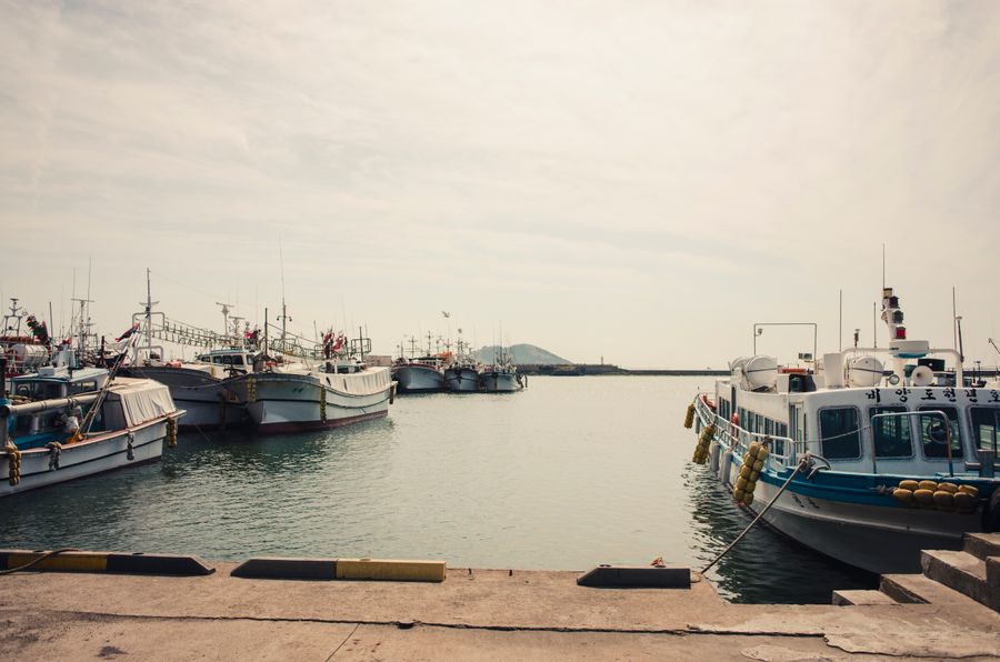 Boats lined along the quay of the inner harbour at dawn