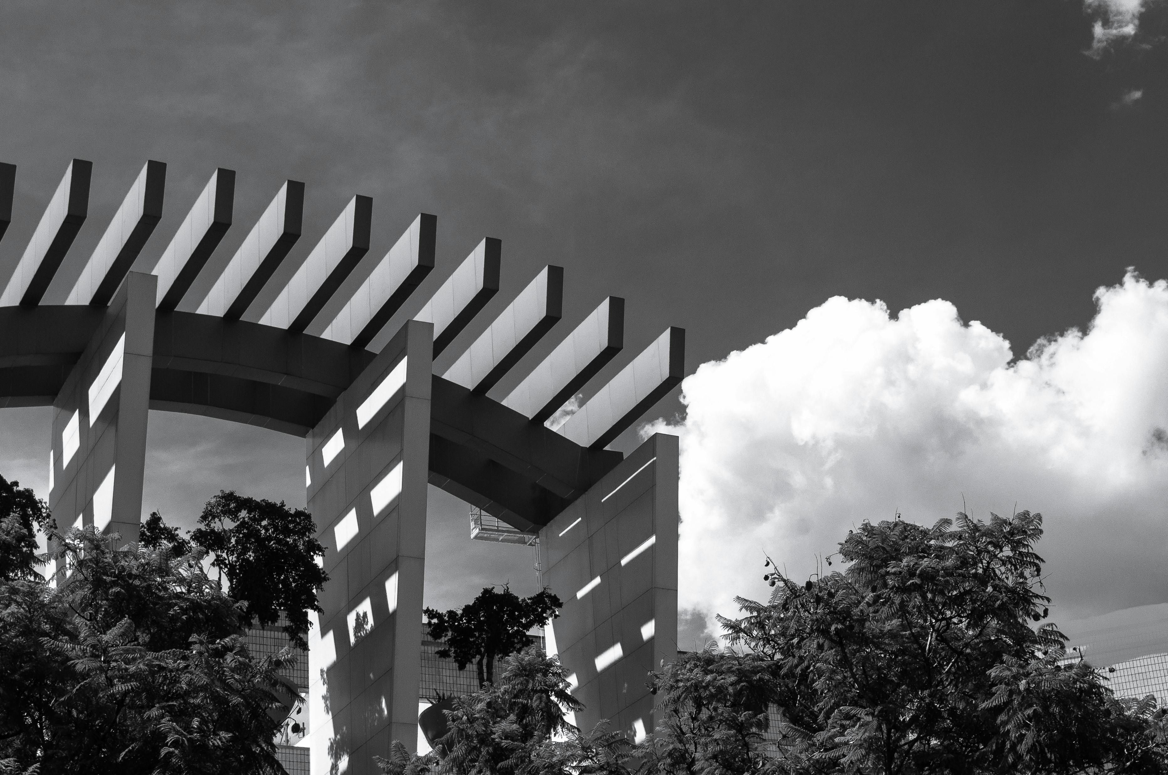 这张黑白照片中，现代建筑与云、树相映成趣