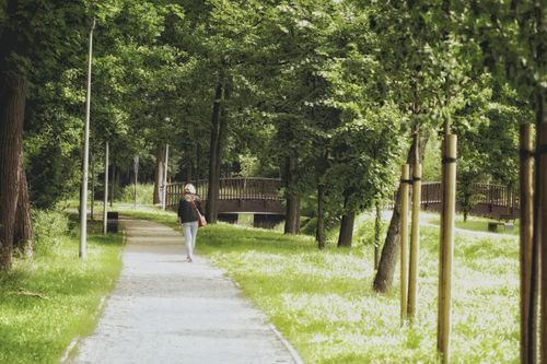 Free A serene scene of a woman walking on a tree-lined path in Zielona Góra park. Stock Photo
