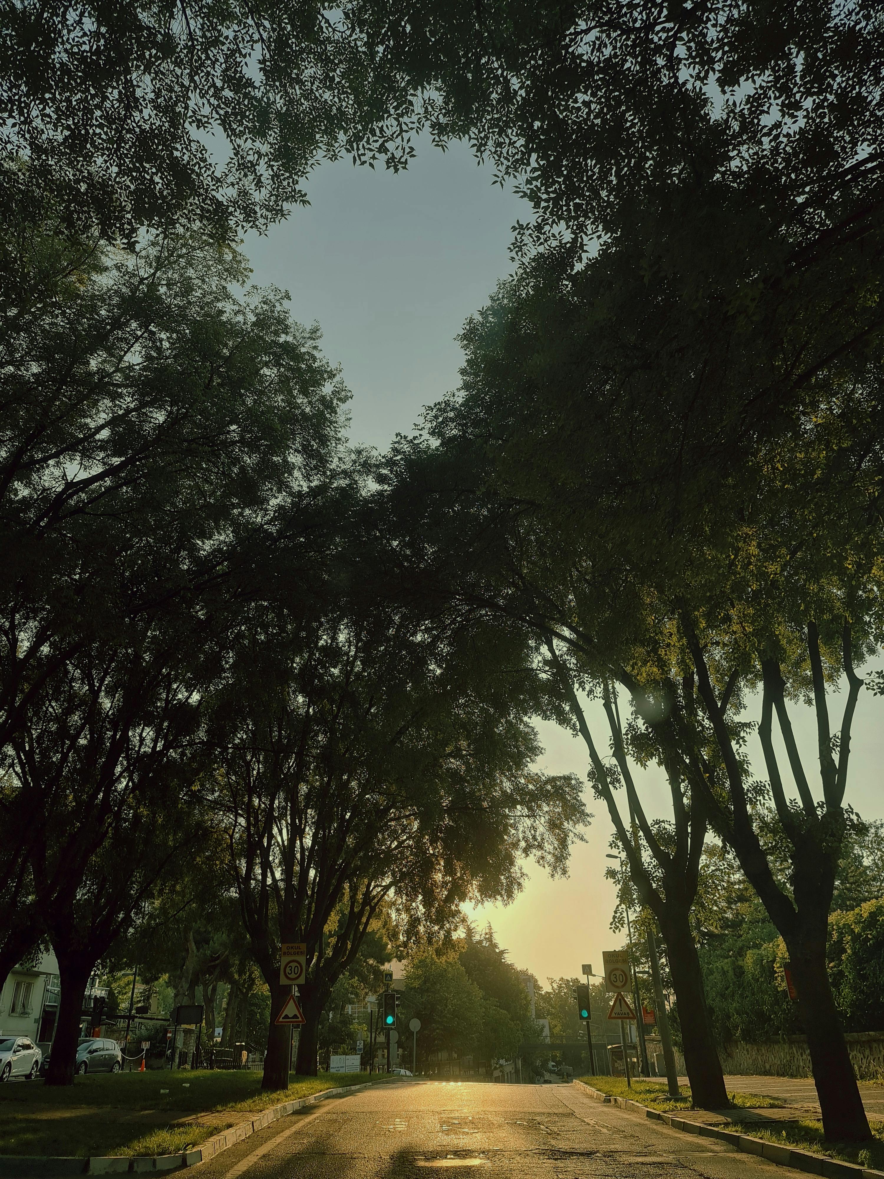 Border Crisis Reaches Breaking Point as Illegal Crossings Surge