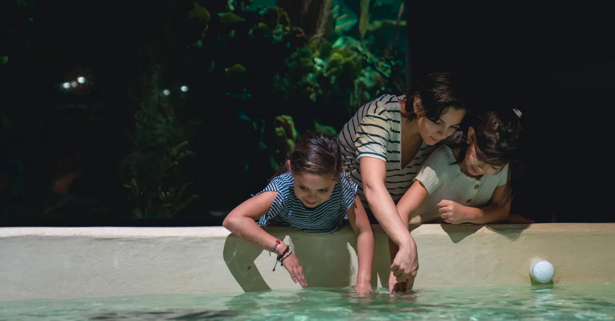 Aquaria KLCC à Kuala Lumpur — vue 4