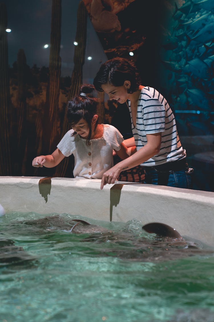 A Girl And A Woman Playing With Marine Animals 