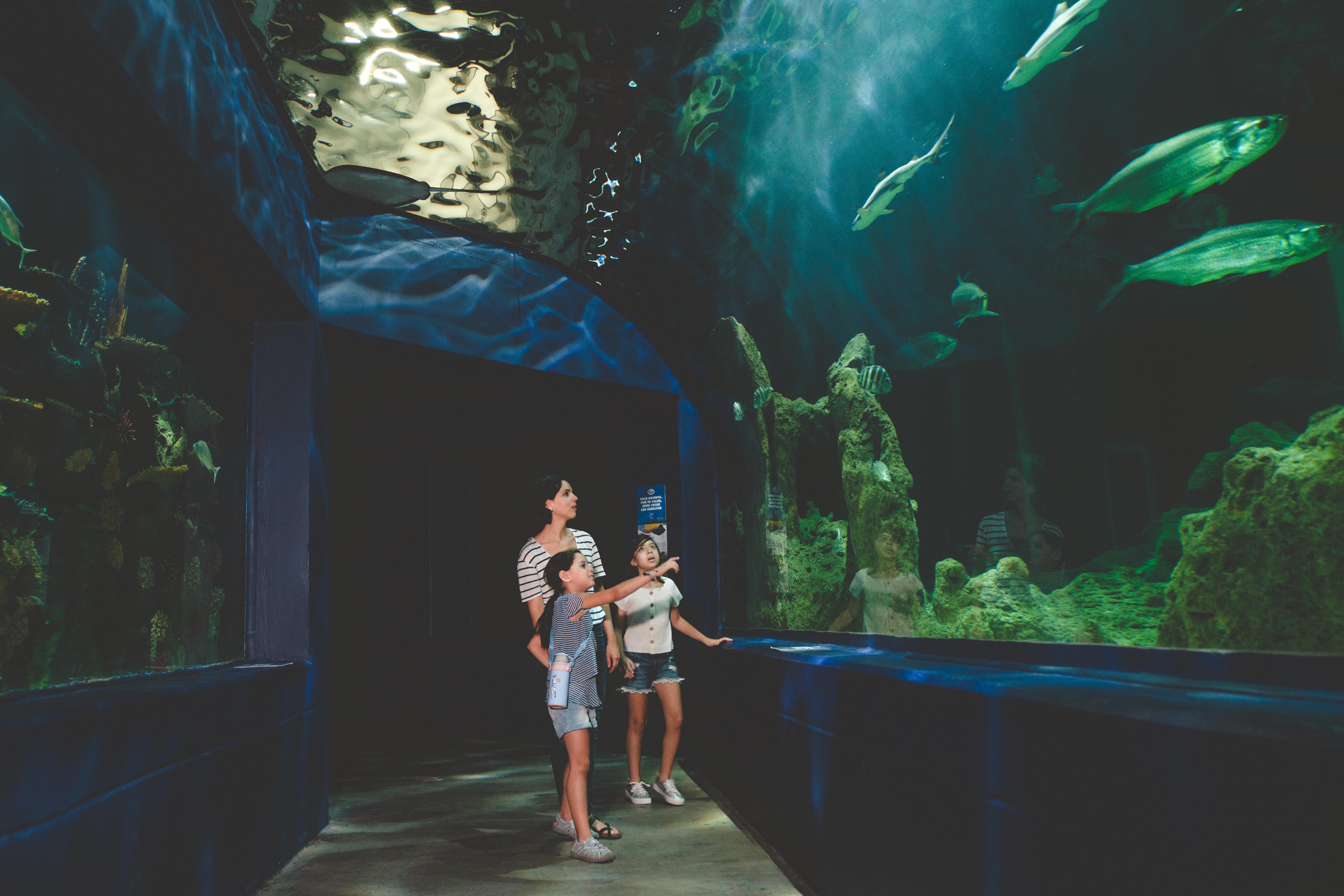 a woman and two girls walking through an aquarium