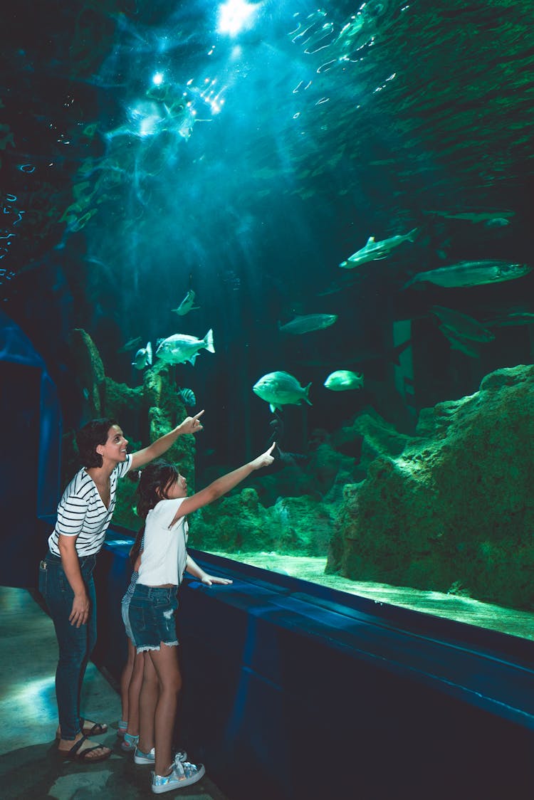 People Visiting An Aquarium