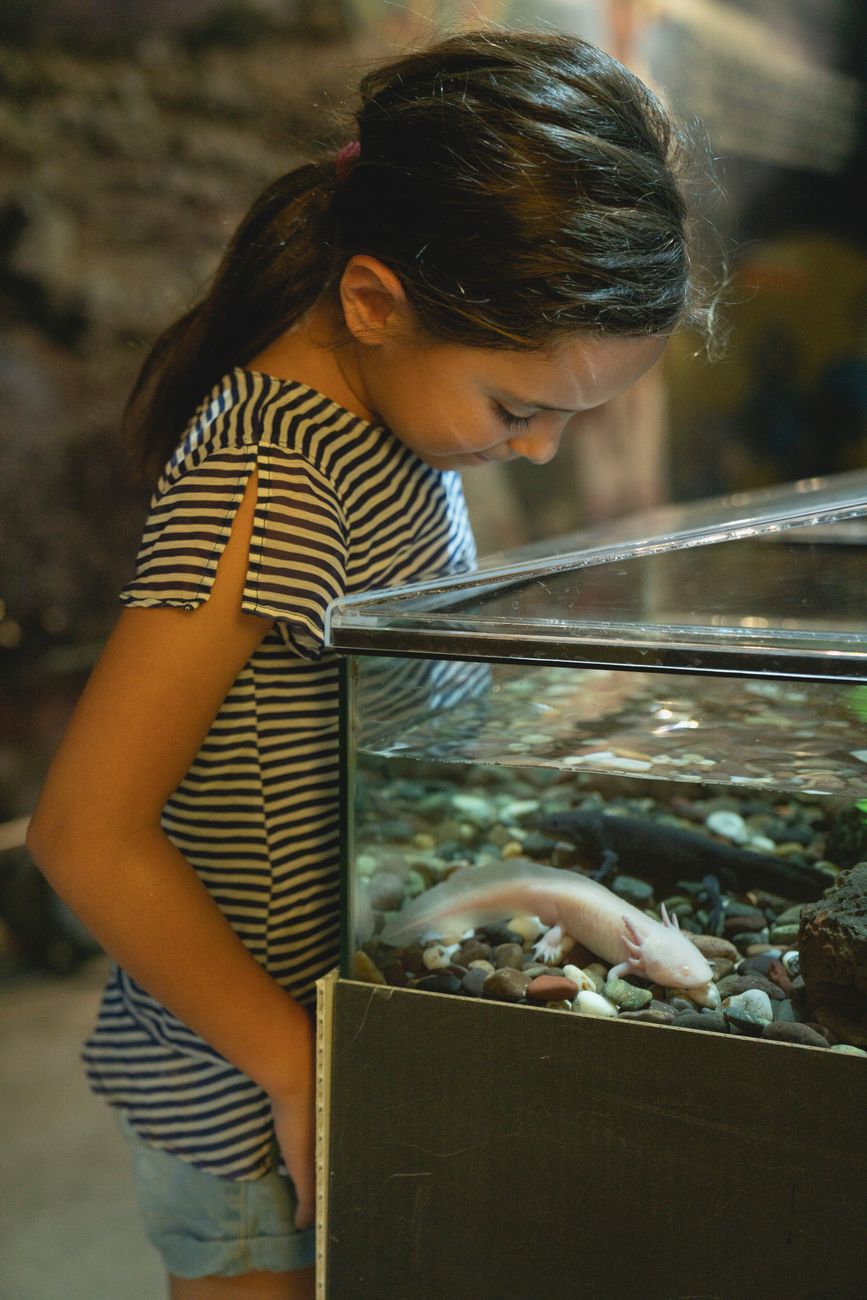 伊豆の水族館・ミュージアム3選|学びと発見に満ちた雨の日でも安心な施設
