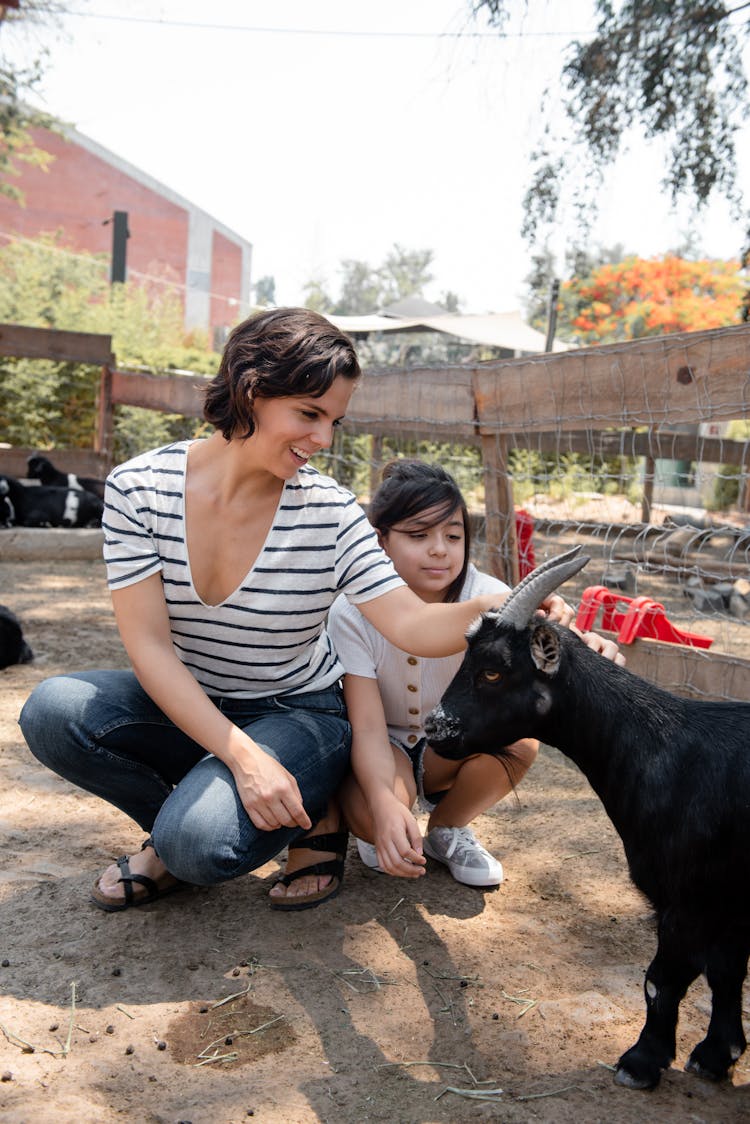 Mother And Daughter Touching A Goat At A Zoo