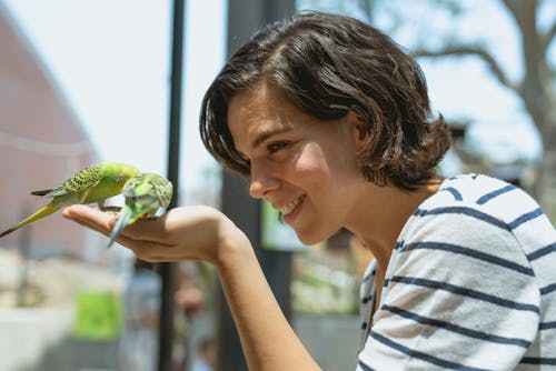 Woman Feeding the Birds