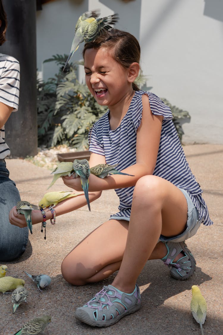 A Girl Feeding Birds