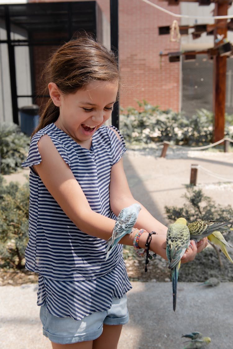 Photo Of A Child Feeding Parrots