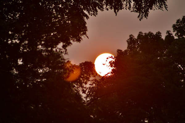 Piyama Set Classic Navy