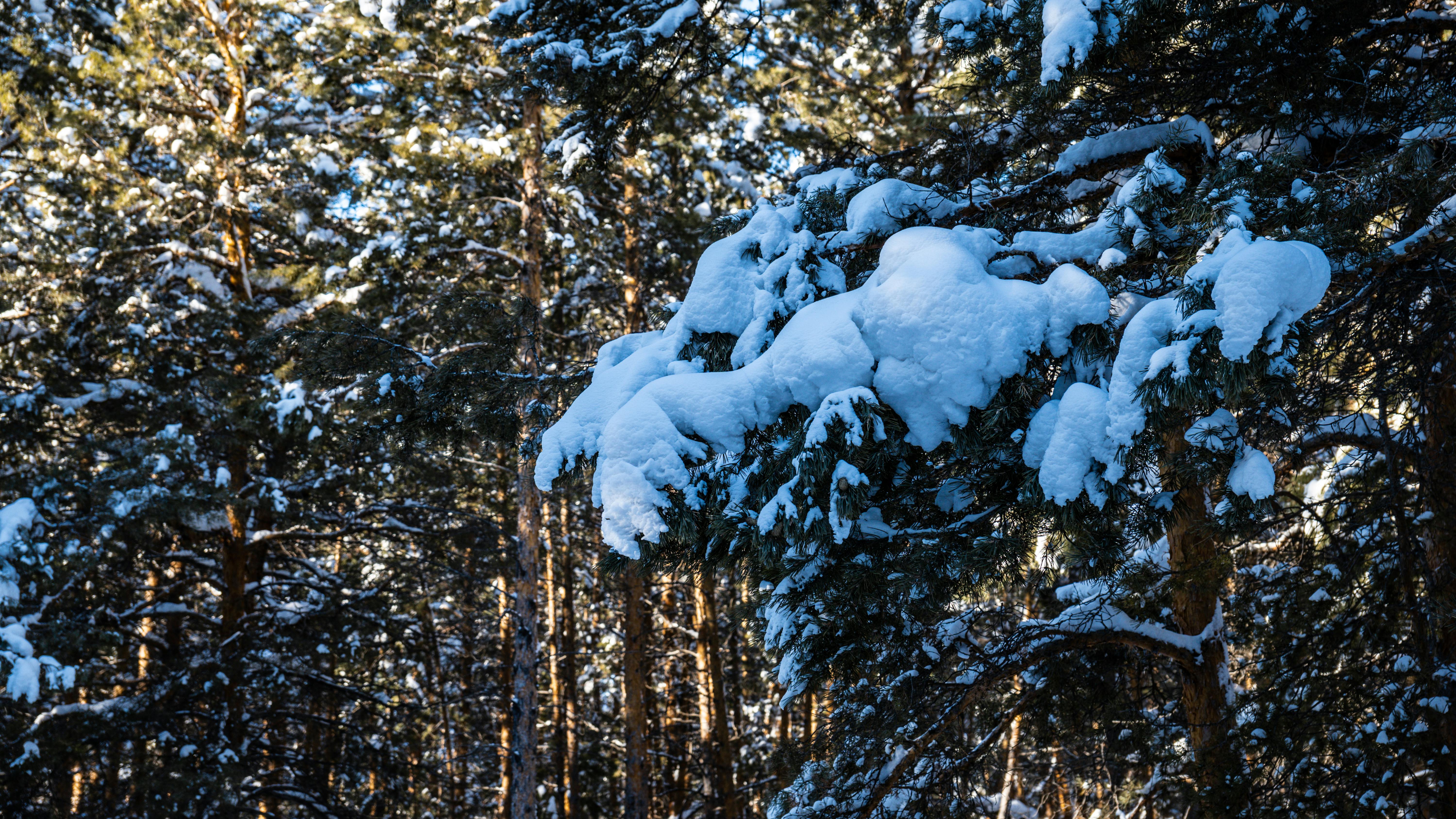 Trending Kurti Designs for 2025