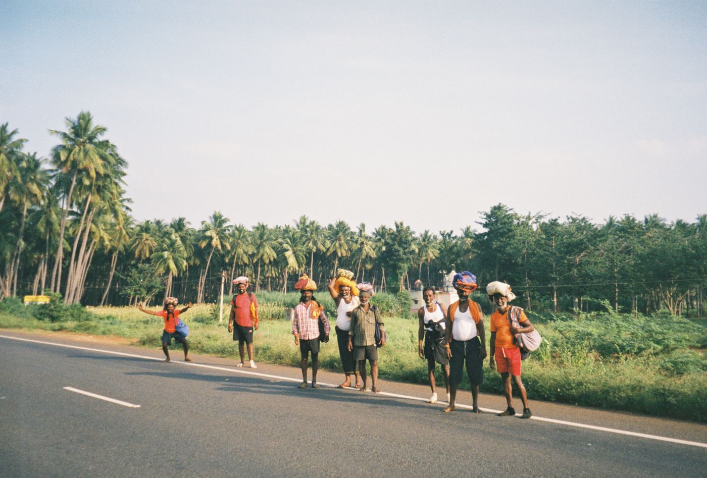 An open highway lined with coconut palms