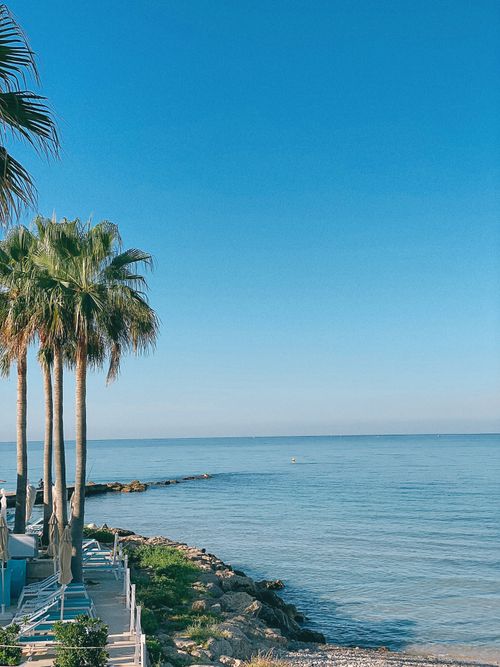 Free Tall exotic palms with foliage growing on coast near rippling sea on summer day in tropical resort against blue sky Stock Photo
