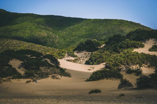 Ilmainen kuvapankkikuva tunnisteilla hiekkaranta, luonto, mäet