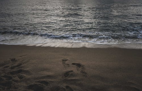 Foto profissional grátis de areia, conhecimento, costa