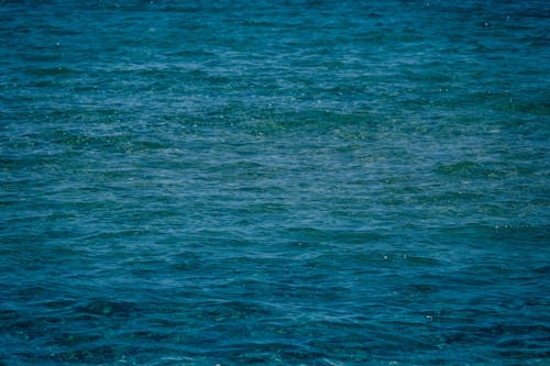 Foto profissional grátis de conhecimento, corpo d'água, mar