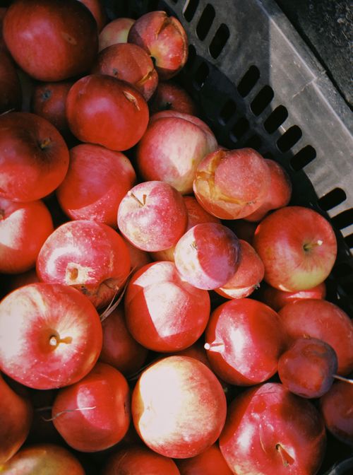 Free High-quality image of fresh red apples in a basket from a top view angle, perfect for food markets. Stock Photo
