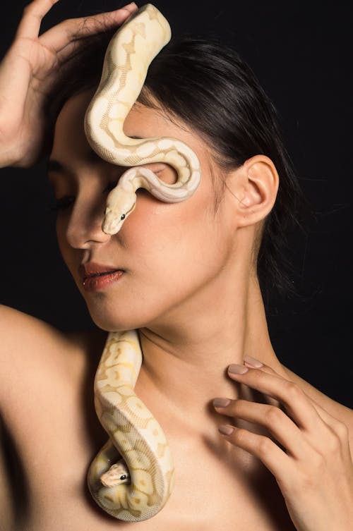 Free Woman With Brown and White Snake on Her Neck Stock Photo
