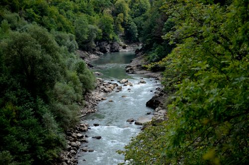 Free A tranquil river flows through a dense green forest, surrounded by rocks and trees. Stock Photo