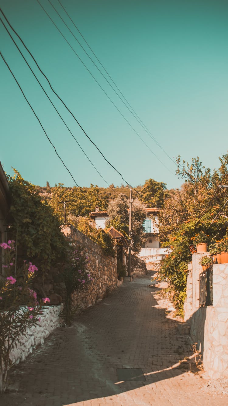 Narrow Suburban Street 